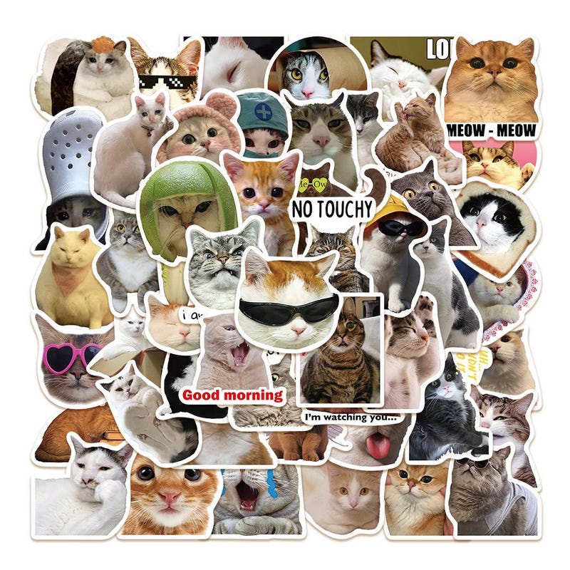 Cat Notebook Stickers - Etsy