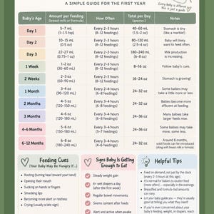 May include: A Newborn Feeding Guide chart with a green background, featuring a table detailing baby age, feeding amounts in ounces and milliliters, frequency, and daily totals. Includes sections for feeding cues, signs of satiety, and helpful tips.