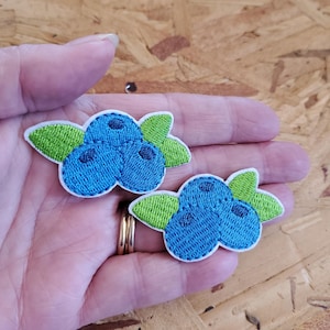 Fruit - Blueberry - Berries - Blueberries- California - Maine - Crafts - Iron On Patches - Set Of 2