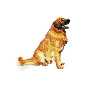 Dog - Retriever - Pet - Embroidered Iron On Applique Patch