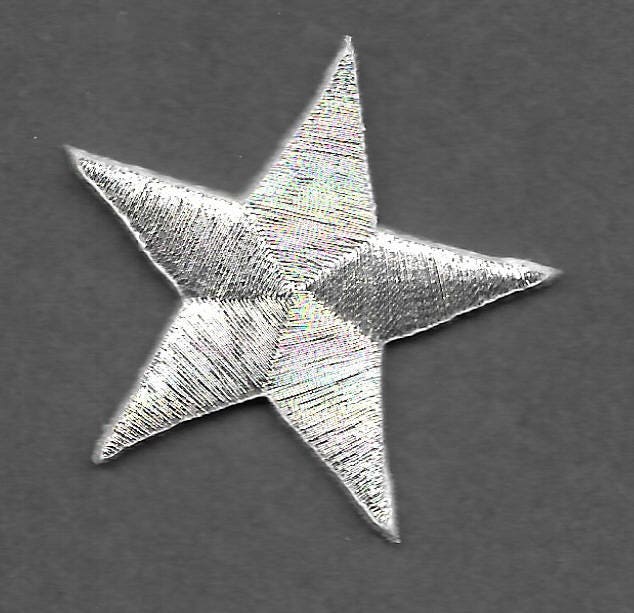 Silver Glitter Stars – Sprinkle Pop