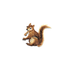 Squirrel - Forest - Animal - Fall - Autumn - Embroidered Iron On Applique Patch - Crafts - B