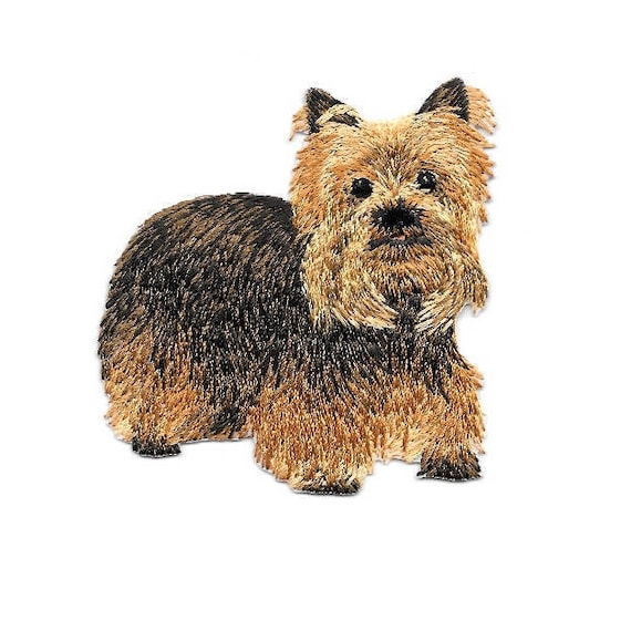 Do Yorkies Overheat Easily