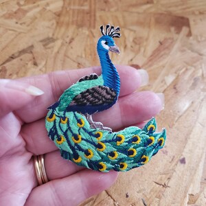 Peacock - Peafowl - Bird - Wild - Embroidered Iron On Applique Patch - Right - Crafts