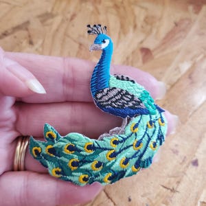 Peacock - Peafowl - Bird - Wild - Embroidered Iron On Applique Patch - Left - Crafts