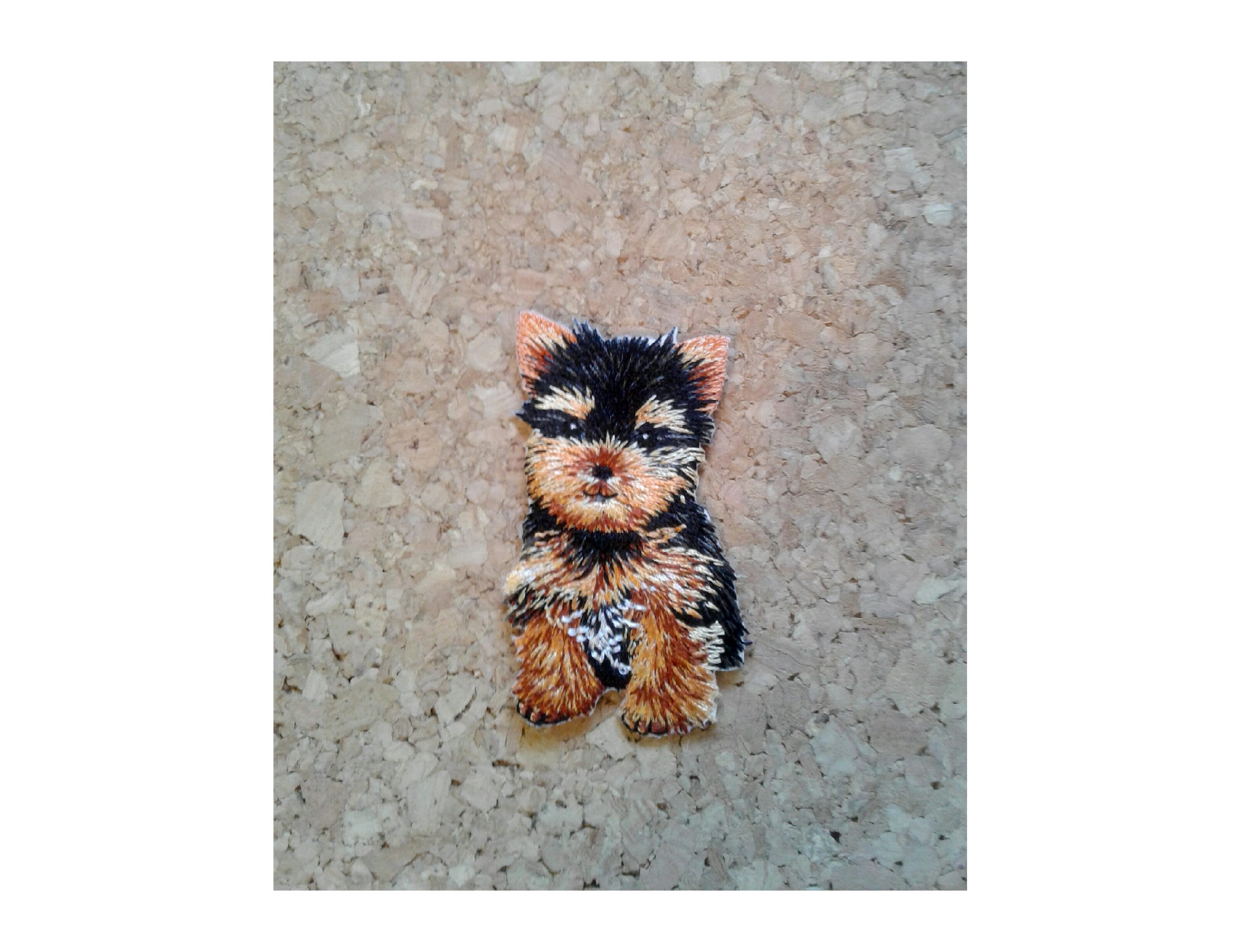 Do Yorkies Overheat Easily