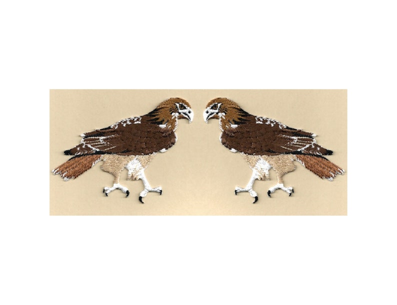 Red Brown Hawk Head Iron On Patch 2 Inch 