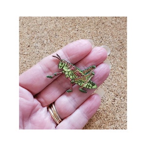 May include: Green and red embroidered iron-on patch of a grasshopper.