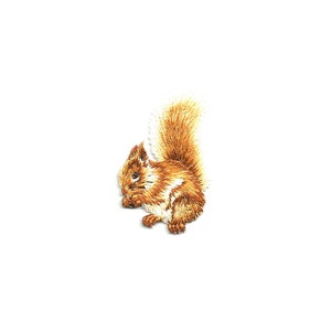 May include: Embroidered iron-on patch of a brown squirrel with a bushy tail, sitting on its haunches.