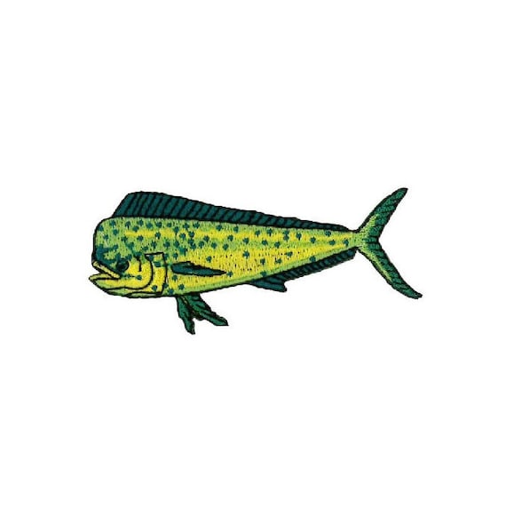 Fishing Mahi Mahi Dorado Fish Deep Sea Fishing Etsy