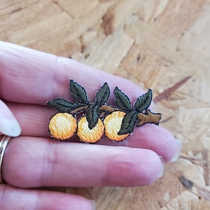 Orange - Fruit - Citrus - Food - Health - Florida - California - Embroidered Iron On Applique Patch - Branch Of Three
