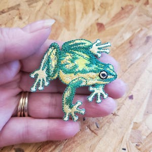 Frog - Green - Amphibian - Nature - Pond - Iridescent/Embroidered Iron On Applique Patch - B