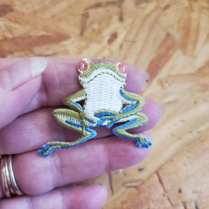 Frog - Toad - Nature - Looking Front - Embroidered Iron On Applique Patch - crafts