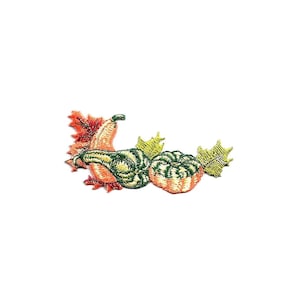 Gourds - Fall Harvest - Autumn - Leaves - Thanksgiving - Embroidered Iron On Applique Patch - Crafts