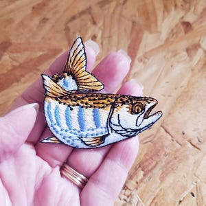 Fish - Fishing - Trout - Brook Trout - Lake - Sports - Embroidered Iron On Patch - Crafts