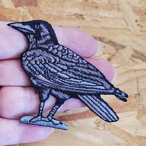 Raven - Crow - Bird - Corvus - Embroidered Black/Gray Iron On Patch - L