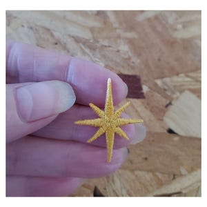 May include: A gold star-shaped embroidered patch with eight points.