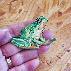 May include: Embroidered frog patch in shades of green, orange, and white. The frog is sitting on a branch, with detailed stitching creating a textured appearance. The patch is likely for clothing or accessories.