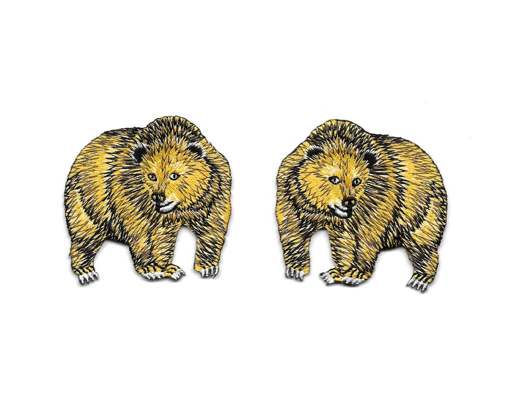 Download Bear Golden Grizzly Wild Animals California Zoo Etsy