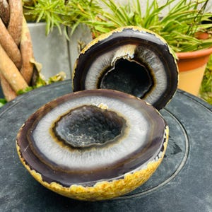 May include: A split agate geode featuring concentric bands of dark brown, grey, and white surrounding a central cavity filled with dark, textured crystalline formations. The outer crust of the stone displays a rough, yellow-brown mineral texture.