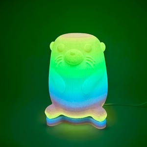 Rainbow glow in the dark Otter light