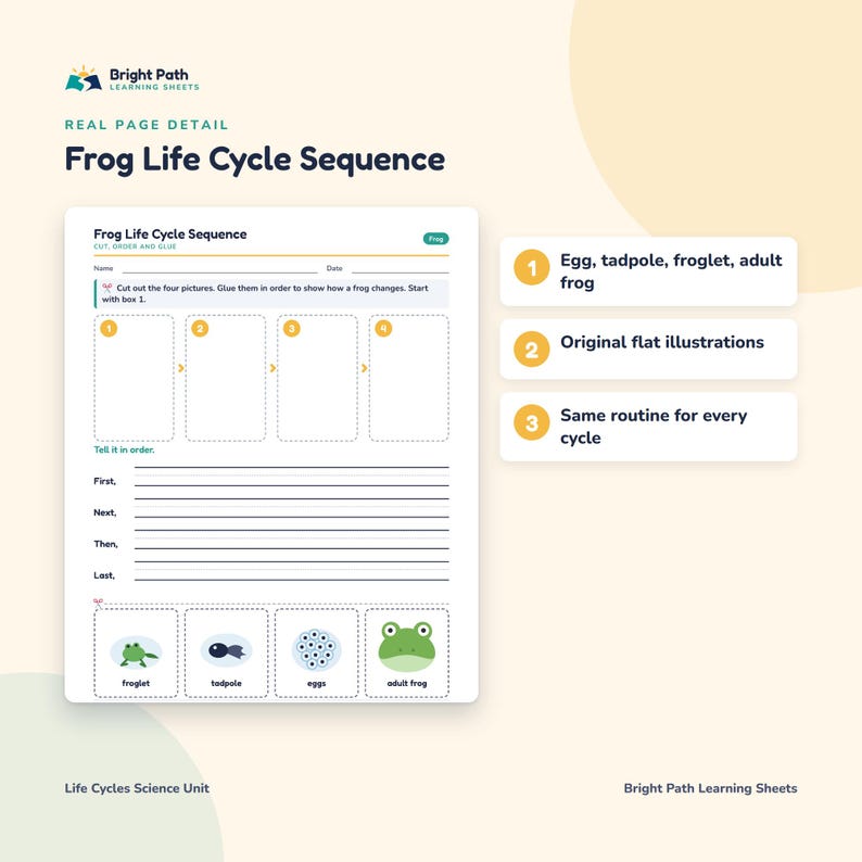 Poultry Guide.pdf Life Cycle Worksheets | Butterfly, Frog, Chicken, Sunflower ...