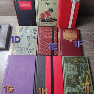 May include: A collection of nine hardcover books arranged in three rows. Titles include On Bullshit, Little Prudy, Strong and Steady, Illustrated Price Catalogue of Old Book Wanted, The Standard Operaglass, and The Light in the Old Garden, featuring various cover colors and illustrations.