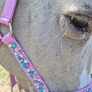May include: A light pink horse headcollar featuring a decorative strip of iridescent, multi-sized round crystals in shades of blue, purple, and pink. The headcollar is secured with silver-toned metal hardware and is worn on the head of a light-coloured horse.