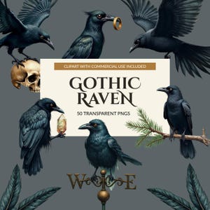May include: A collection of black raven illustrations featuring various poses, including a raven perched on a human skull, one holding a gold ring, one with a crystal, and one on a pine branch. Text reads: GOTHIC RAVEN 50 TRANSPARENT PNGS.