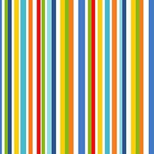 Striped fabric by Northcott, Big Bang