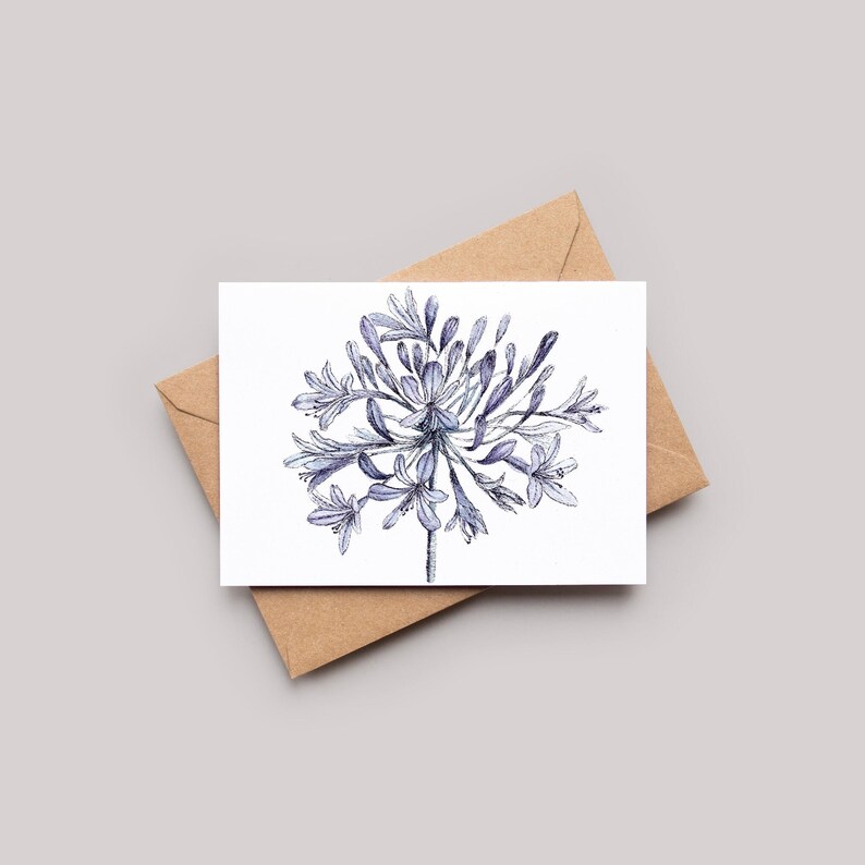 Agapanthus Watercolour Greeting Card A6 Card Art Print Etsy