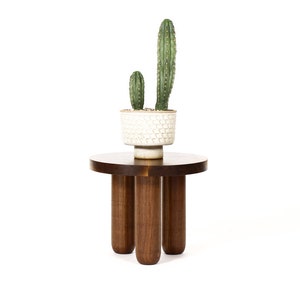 May include: A dark brown wooden side table with four rounded legs and a circular top. A white ceramic planter with two green cactus plants sits on top of the table.