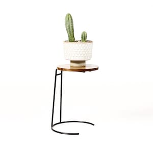 May include: A black metal side table with a round wooden top. A white ceramic planter with two cactus plants sits on the table.