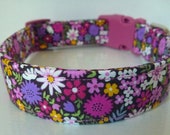 Floral Dog Collar, Dog Collars, Pink, Purple, Yellow, White Flowers on Plum, Puppy Collar, Girl Dog Collar - quot Berry quot
