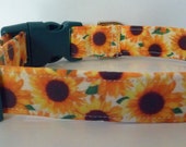 Eco Friendly Collar, Fall Floral Dog Collar, Sun Flower Collar, Girl Dog Collar, Yellow Brown Green, Dog Collar, Personalized - quot Sun Flower quot