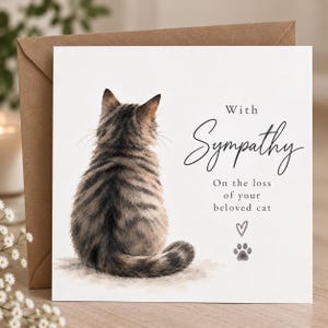 May include: A square sympathy greeting card featuring a watercolor illustration of a brown tabby cat seen from behind. The text reads With Sympathy On the loss of your beloved cat, accompanied by a small hand-drawn heart and a gray paw print.
