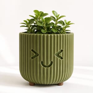 May include: A cylindrical olive green ceramic planter with vertical ribbed texture and three small brown feet. The front features a carved face with two angled eyes and a curved mouth. A small green leafy plant grows out of the top of the pot.