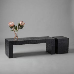 Puede incluir: Un banco rectangular negro y una mesa auxiliar cuadrada a juego, ambos con una superficie texturizada de baldosas. Un jarrón de cristal transparente se sitúa sobre el banco, conteniendo dos flores de protea rosas y blancas con tallos verdes.