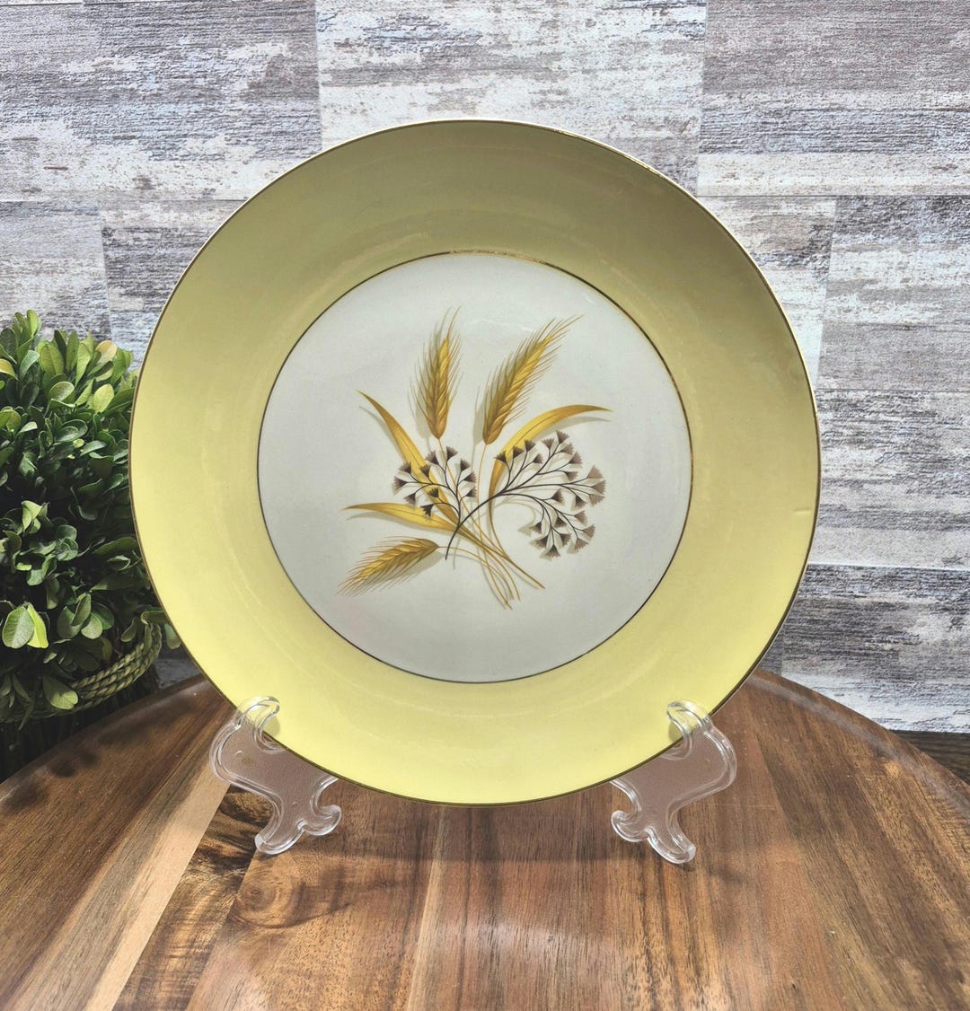 Century Service Alliance-ohio Semi Vitreous Autumn Gold 10