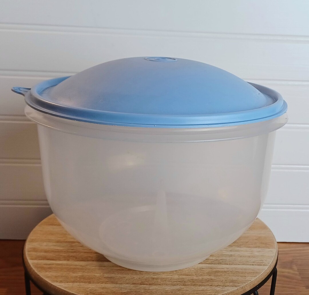 Vintage Tupperware 1424 Crispit Sheer Lettuce Keeper With Spike 681