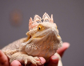 Bearded Dragon Peach Crown Lizard Crown Reptile Accessories Beardy Crown
