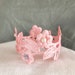 see more listings in the pet crowns section