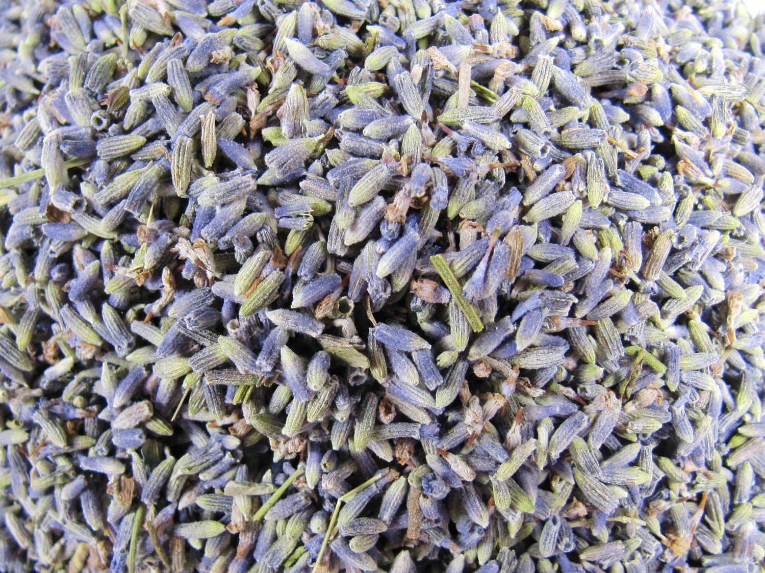 ORGANIC LAVENDER 1 pound bulk wholesale dried lavandar Premium Etsy