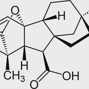 Puede incluir: Un diagrama de estructura química en blanco y negro de ácido giberélico sobre un fondo gris claro. La fórmula molecular incluye varios anillos de carbono, grupos hidroxilo, un grupo ácido carboxílico y un grupo metileno.