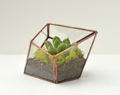 Succulent Glass Terrarium - Stained glass - Handmade Glass Terrarium