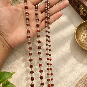 May include: A long necklace featuring small, round, textured reddish-brown rudraksha beads alternating with polished silver-toned metal spacers. The beads are strung in a continuous line, creating a repeating pattern of organic seed and metallic elements.