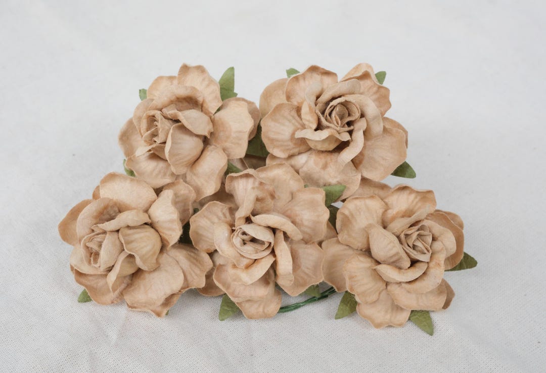 Mulberry Paper Roses: Light Brown Craft Flowers, DIY Embellishments - Etsy