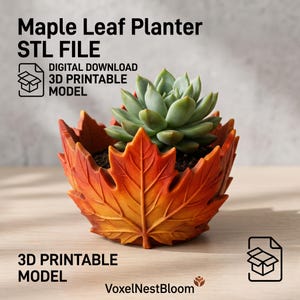 Könnte beinhalten: Ein Ahornblatt-Pflanzgefäß als 3D-druckbares STL-Dateimodell zum digitalen Download. Der Topf ist orange und rot mit einer strukturierten Blattform und enthält eine grüne Sukkulente. Text: Maple Leaf Planter STL FILE DIGITAL DOWNLOAD.