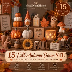 May include: A collection of 15 digital STL files for 3D printing autumn-themed decor, including pumpkins, a gnome, a house, an owl, mushrooms, a squirrel, a sunflower, an acorn, and signs with text like Hello Fall, Fall, and Grateful Thankful Blessed.