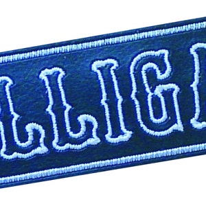 May include: A rectangular patch with the embroidered text "DILLIGAF" in white, outlined in a dark blue border. The patch has a dark blue background and a white stitched border.